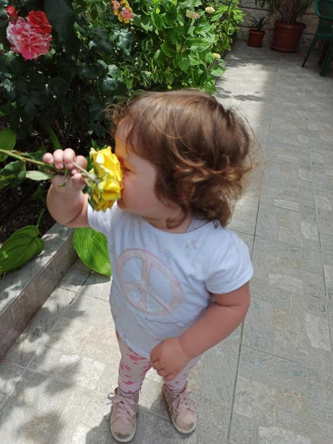 Guest House ,, Ekaterina" Nesebar Esterno foto